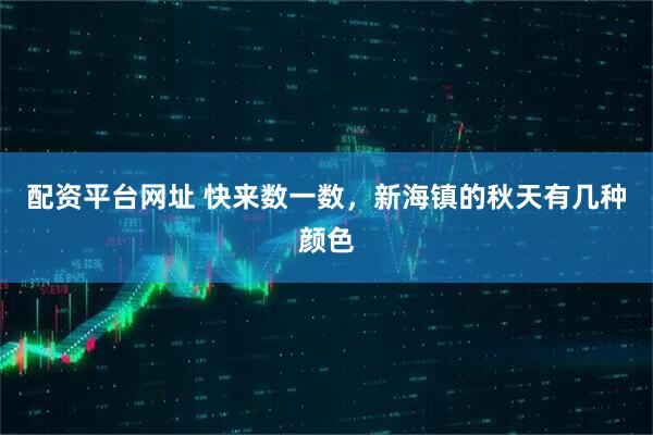配资平台网址 快来数一数，新海镇的秋天有几种颜色