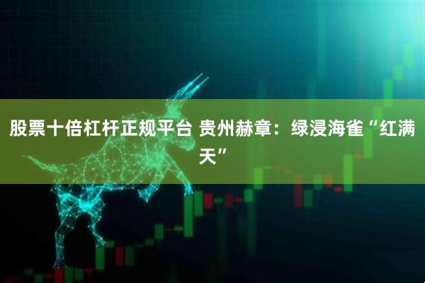 股票十倍杠杆正规平台 贵州赫章：绿浸海雀“红满天”